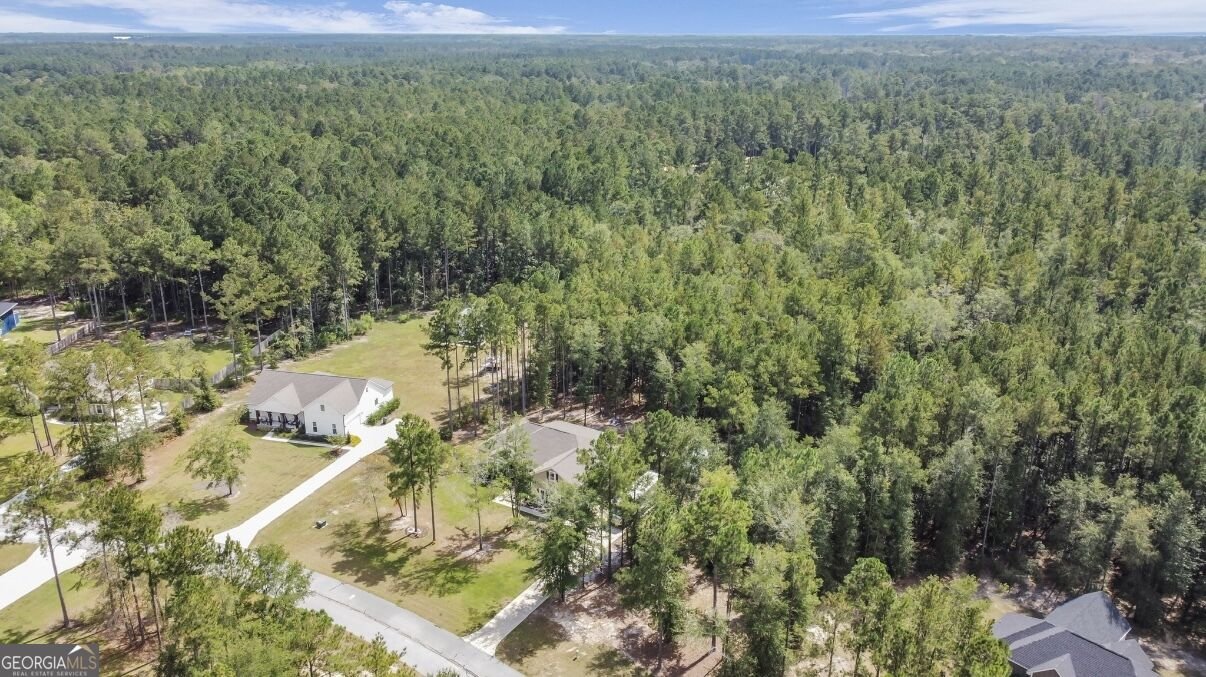 149 Windmill Plantation Drive Statesboro - Photo 52