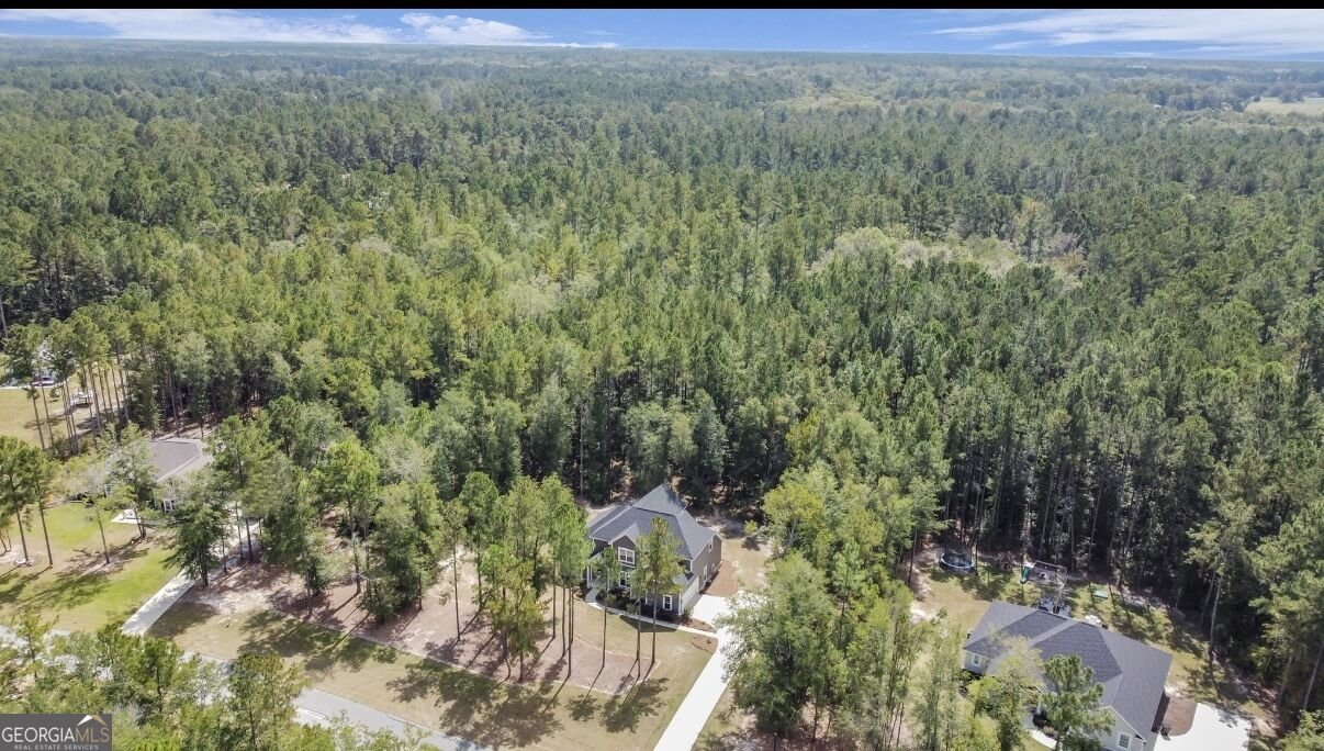 149 Windmill Plantation Drive Statesboro - Photo 53