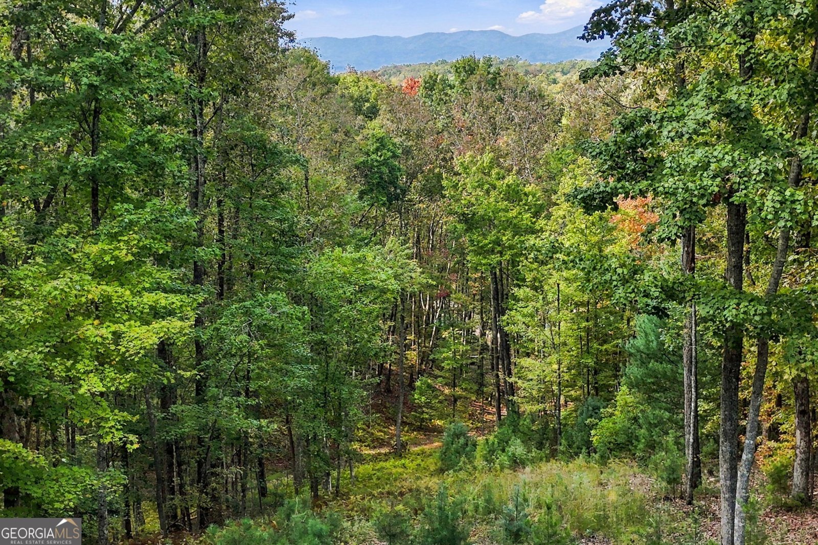 253 Cohutta Overlook Trail Blue Ridge - Photo 79