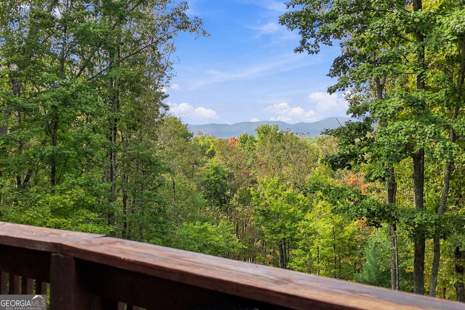 253 Cohutta Overlook Trail Blue Ridge - Photo 80