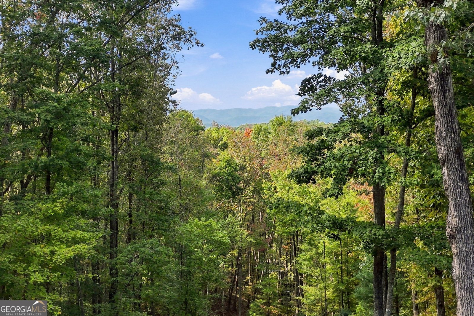 253 Cohutta Overlook Trail Blue Ridge - Photo 81