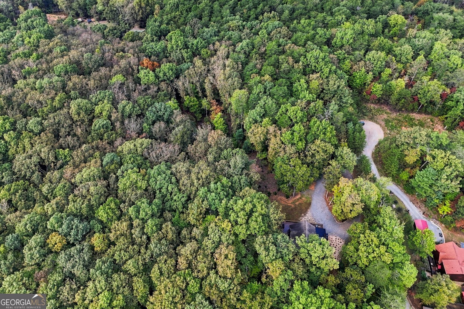 253 Cohutta Overlook Trail Blue Ridge - Photo 83