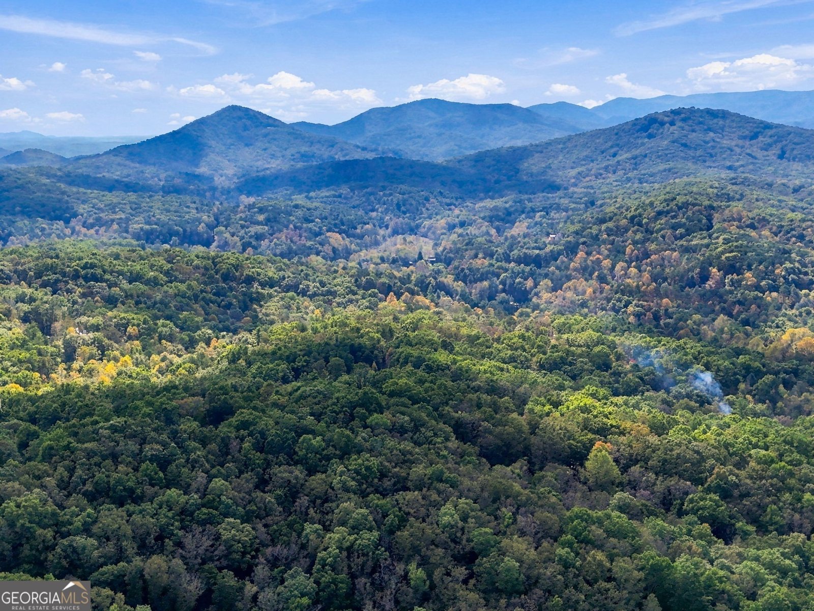 253 Cohutta Overlook Trail Blue Ridge - Photo 86