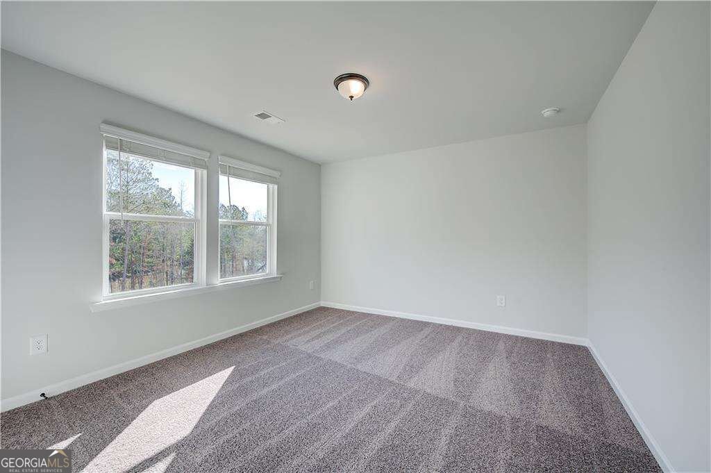 901 Kranston Drive Locust Grove - Photo 19
