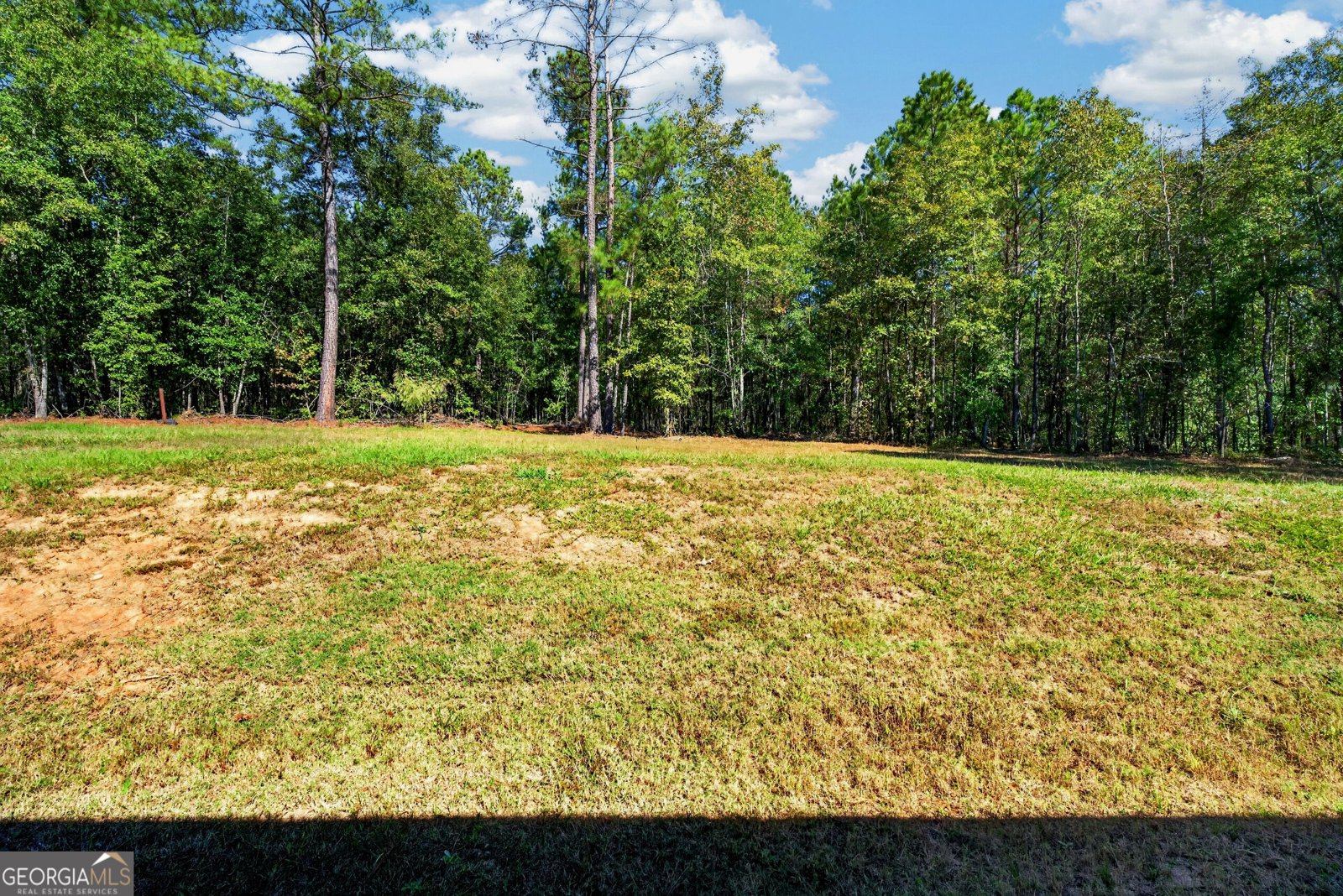 196 Chapman Road Macon - Photo 36