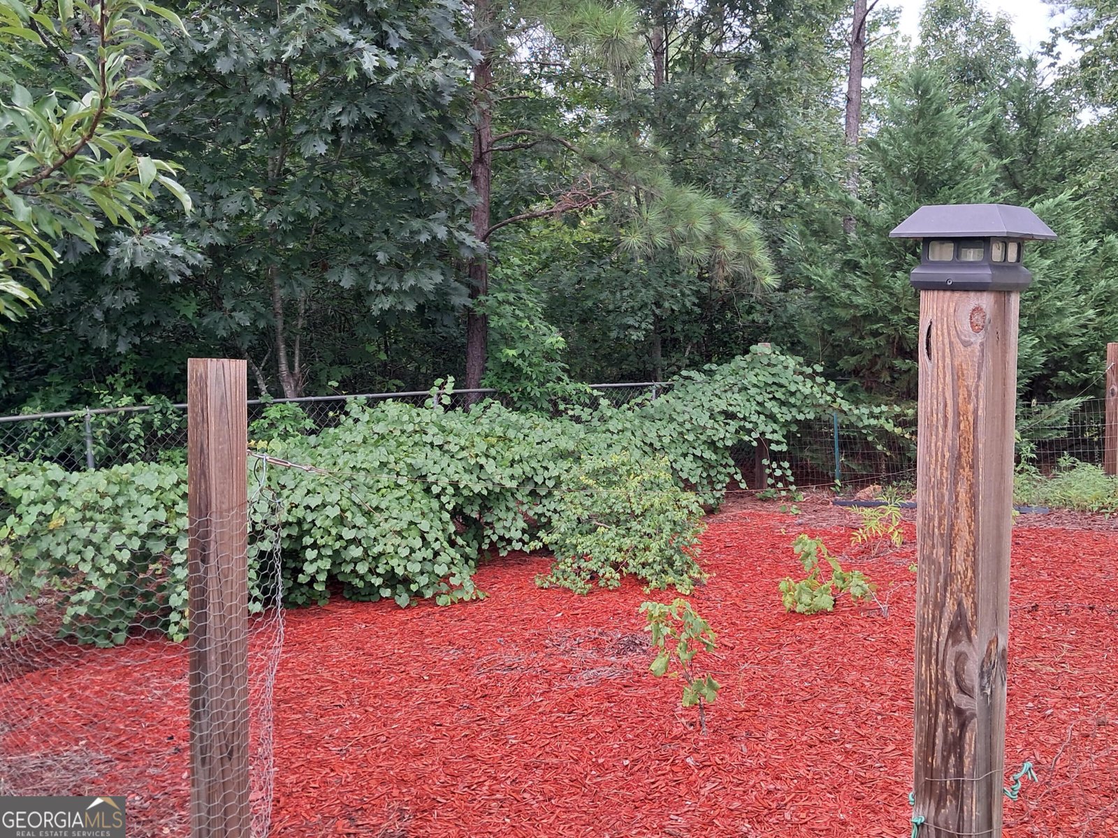 180 Lee King Road Forsyth - Photo 44