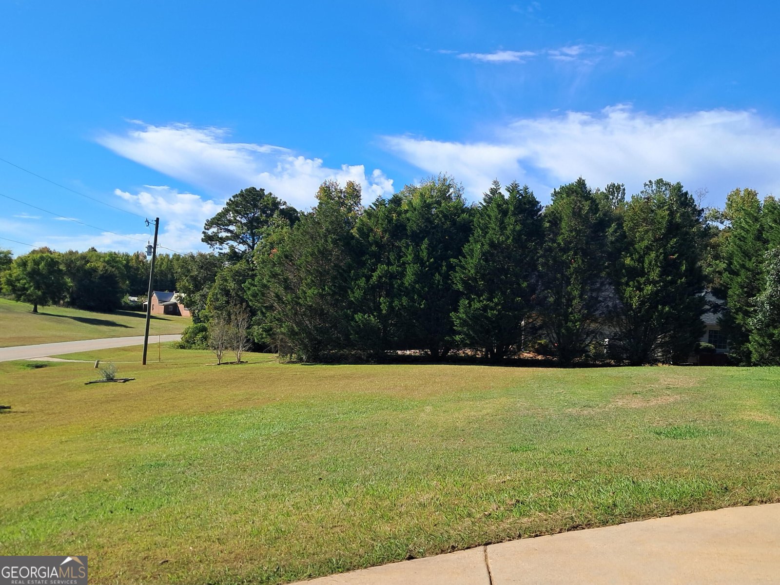 180 Lee King Road Forsyth - Photo 46
