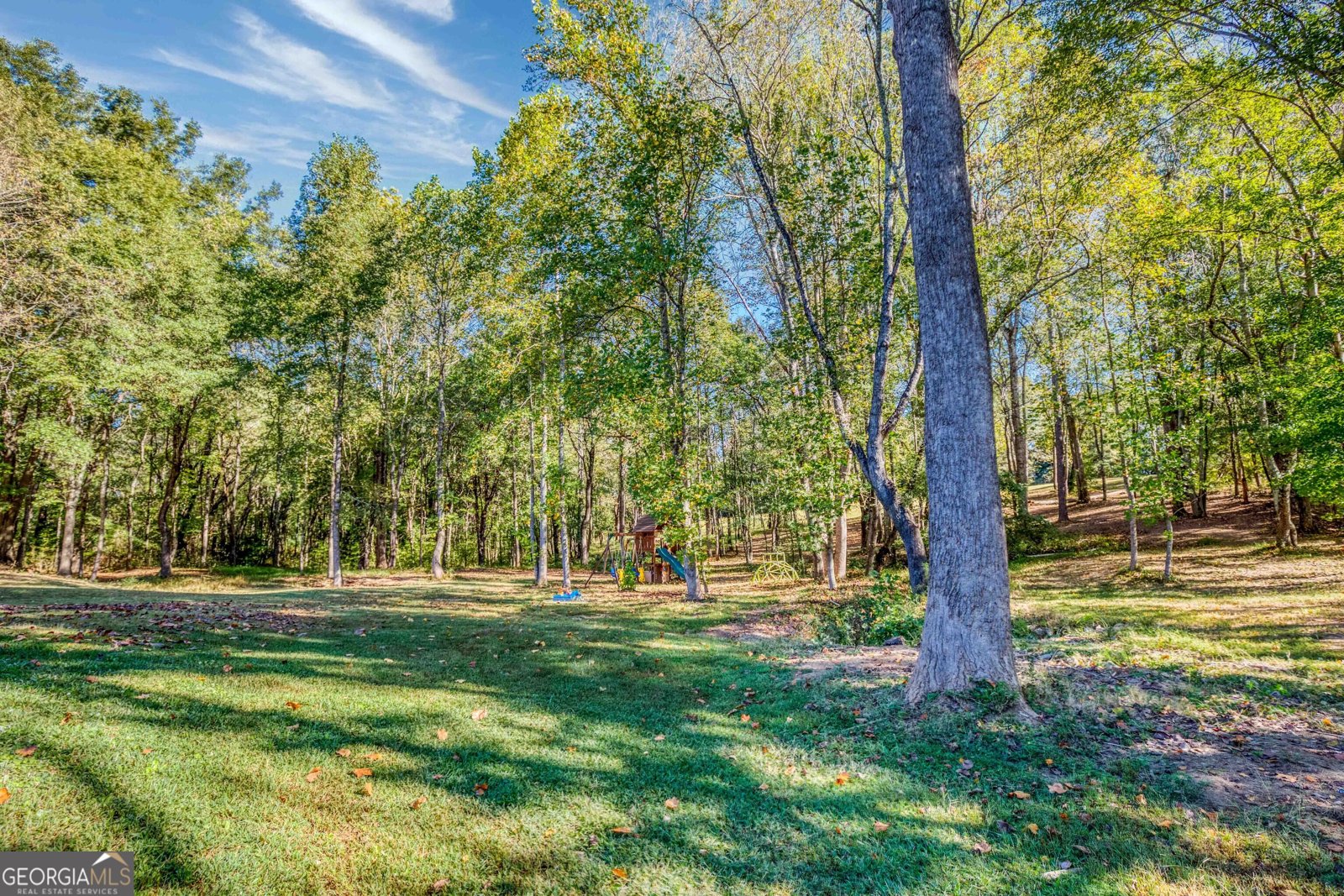 727 Brannon Holder Road Winder - Photo 69