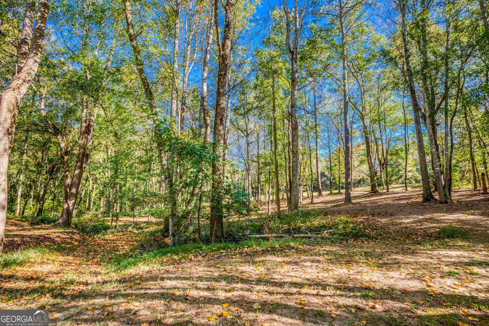 727 Brannon Holder Road Winder - Photo 70