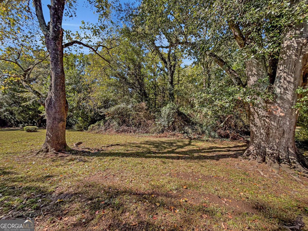 407 Meadow Lane Athens - Photo 25