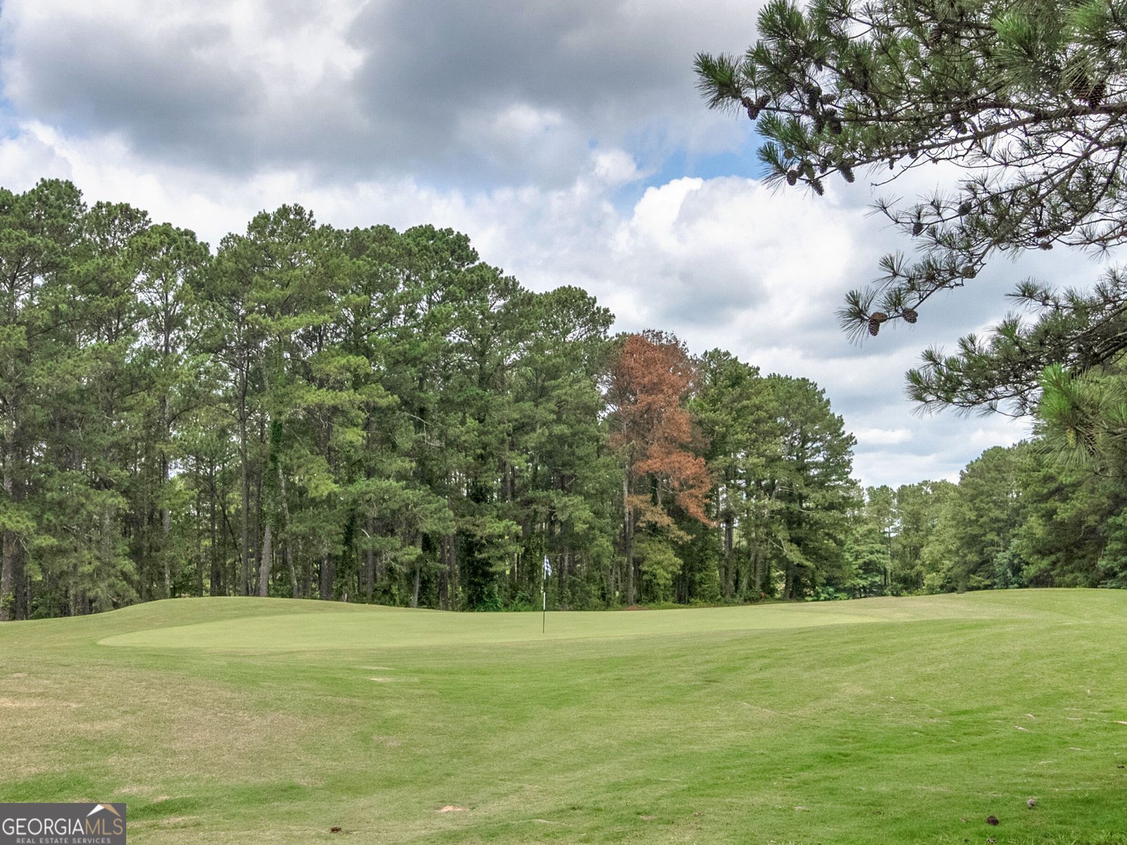 2144 Turtle Cove Throughway Monticello - Photo 19