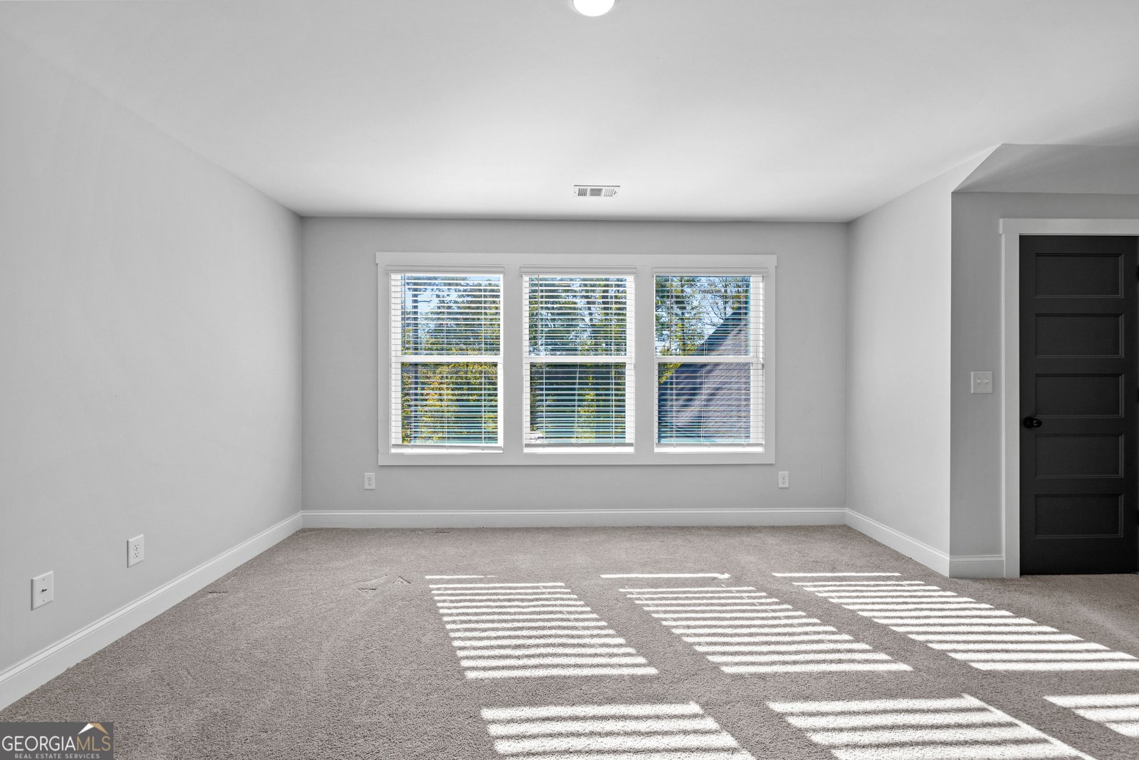 125 Windchime Way Tyrone - Photo 42