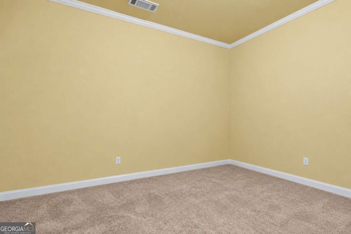 103 Stephens Farm Drive Canton - Photo 51