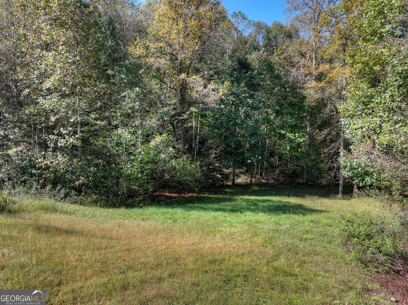 16 Eastside Drive Ellijay - Photo 51