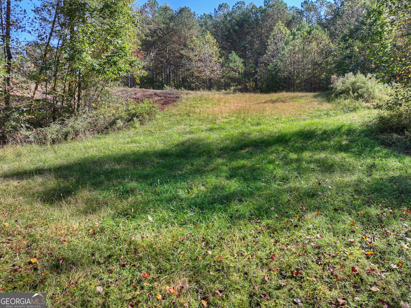 16 Eastside Drive Ellijay - Photo 52