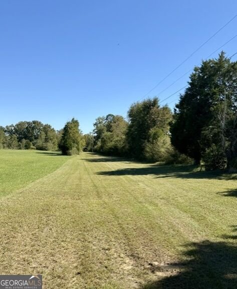 1145 Mount Gilead Road Tennille - Photo 21
