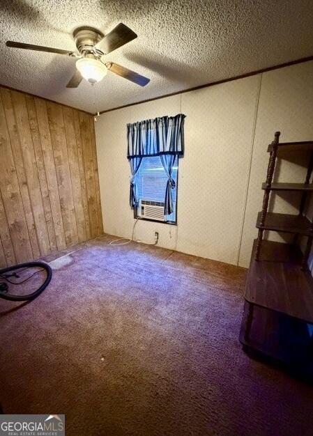 1145 Mount Gilead Road Tennille - Photo 34