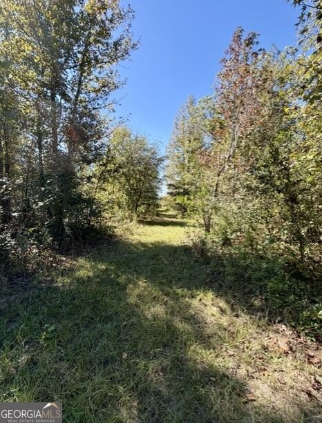 1145 Mount Gilead Road Tennille - Photo 41