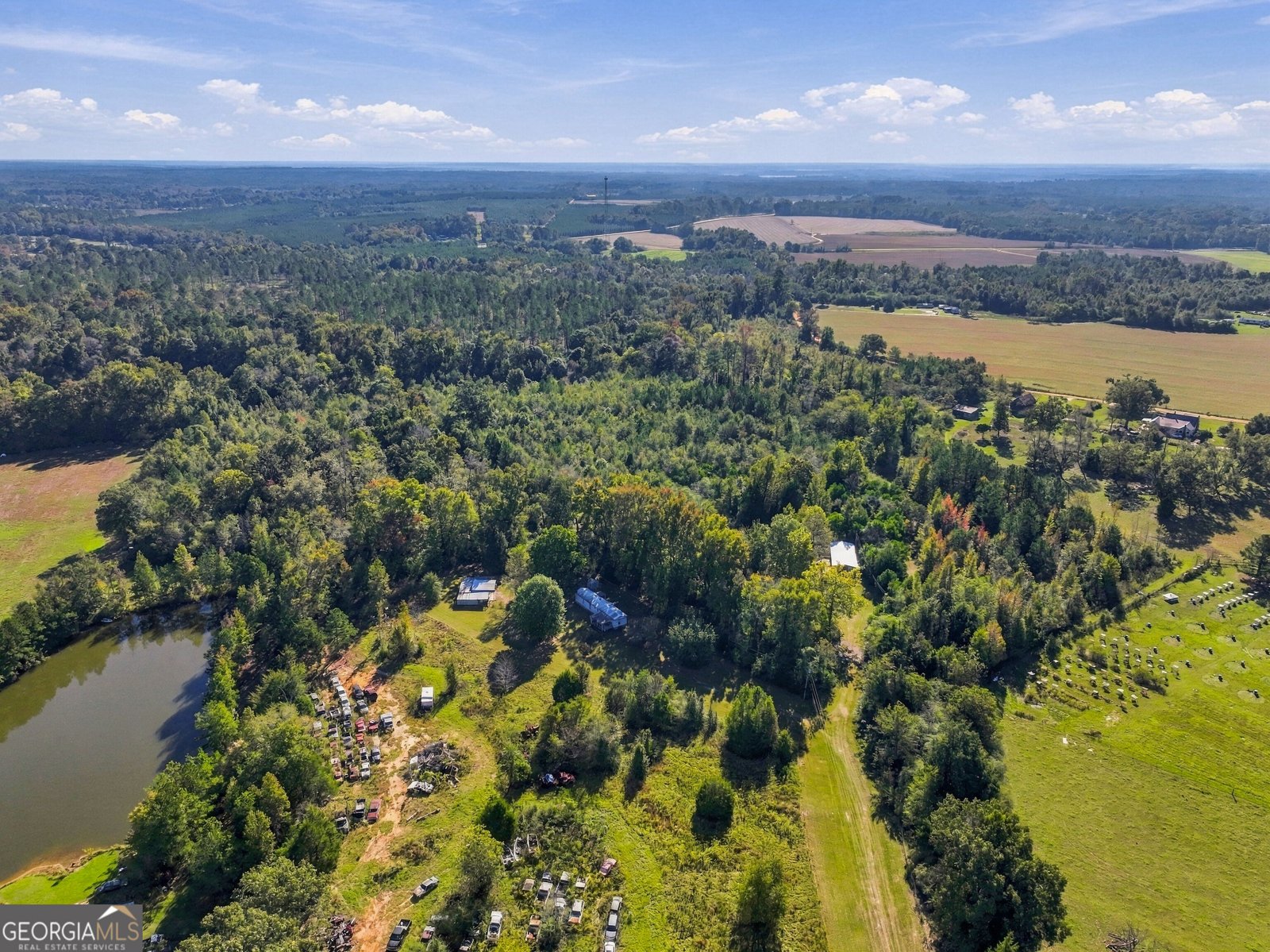 1145 Mount Gilead Road Tennille - Photo 44