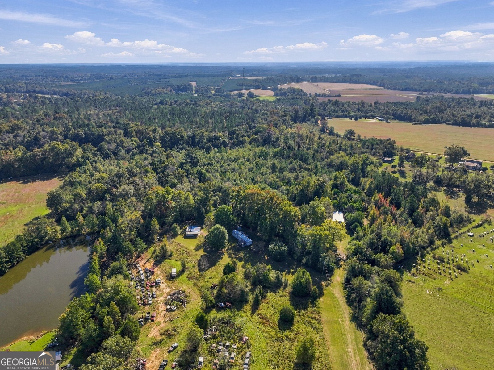 1145 Mount Gilead Road Tennille - Photo 45