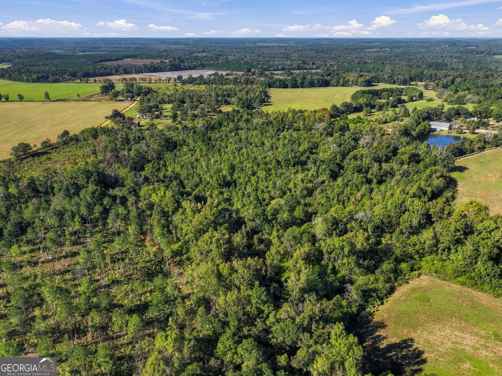 1145 Mount Gilead Road Tennille - Photo 46