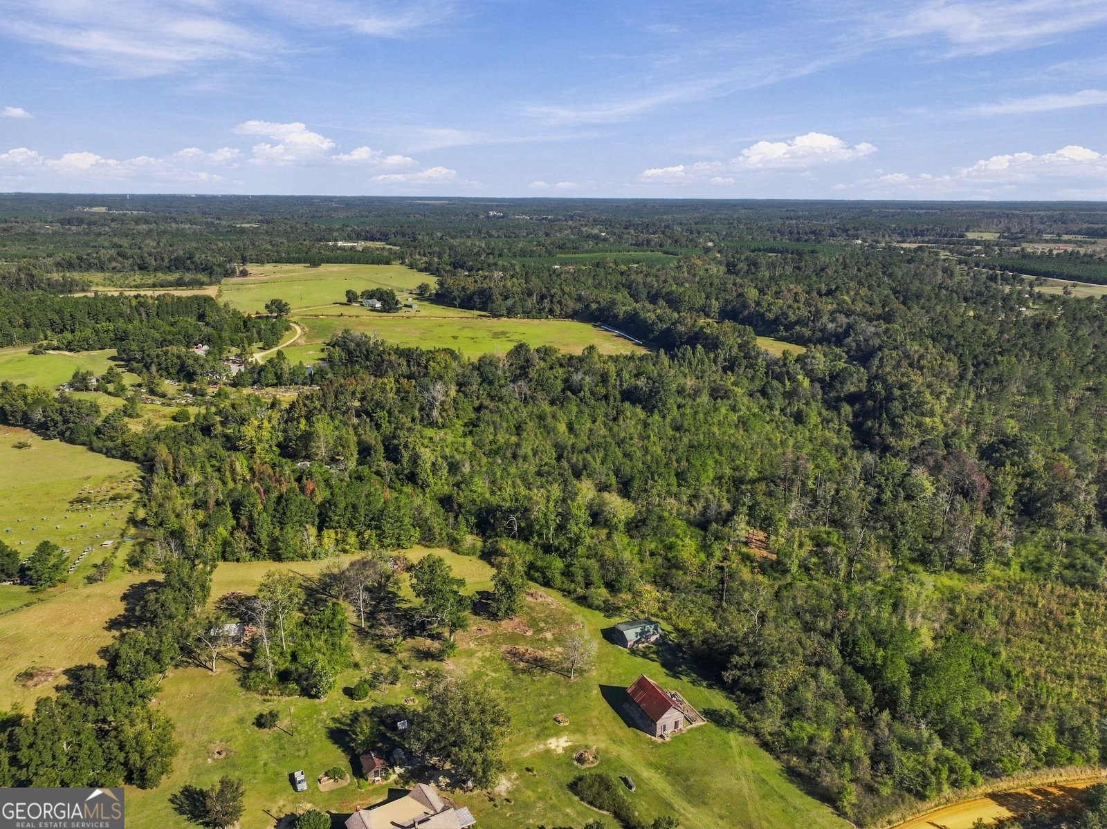 1145 Mount Gilead Road Tennille - Photo 48