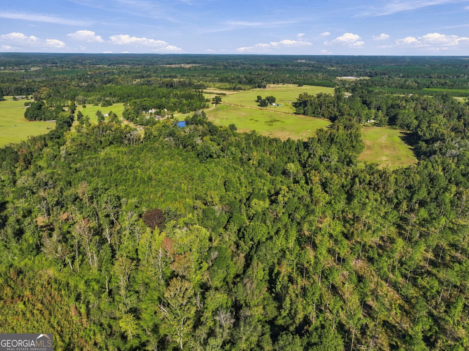 1145 Mount Gilead Road Tennille - Photo 49