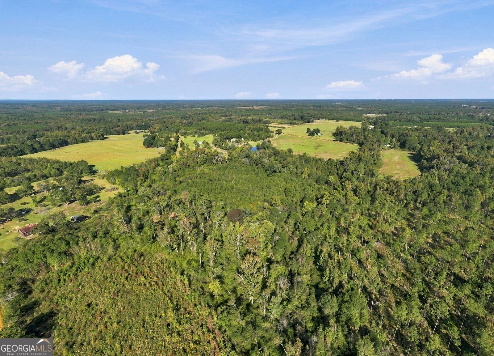 1145 Mount Gilead Road Tennille - Photo 50