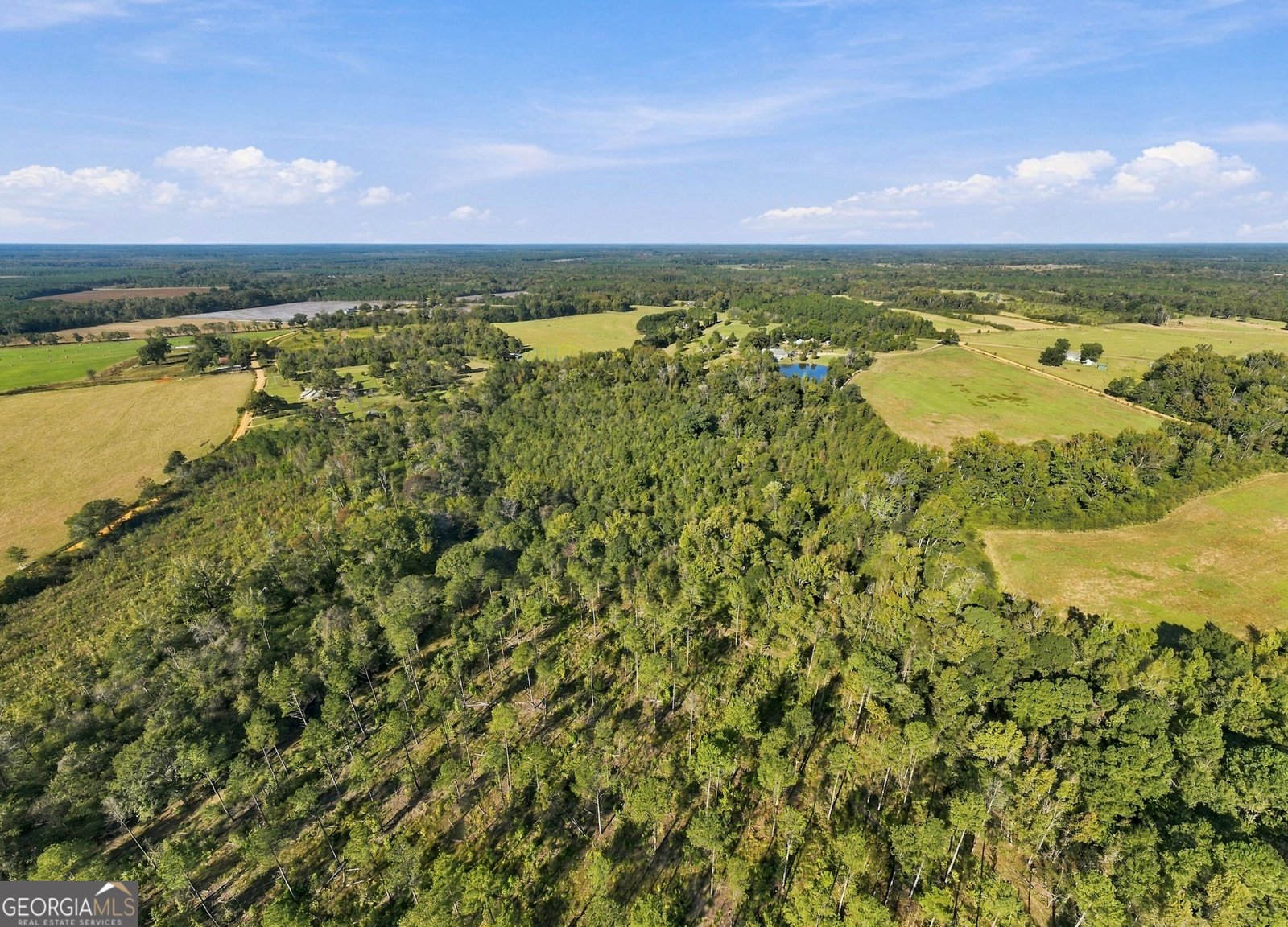 1145 Mount Gilead Road Tennille - Photo 52
