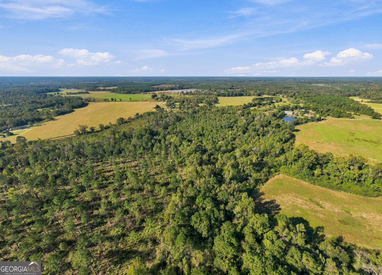 1145 Mount Gilead Road Tennille - Photo 53