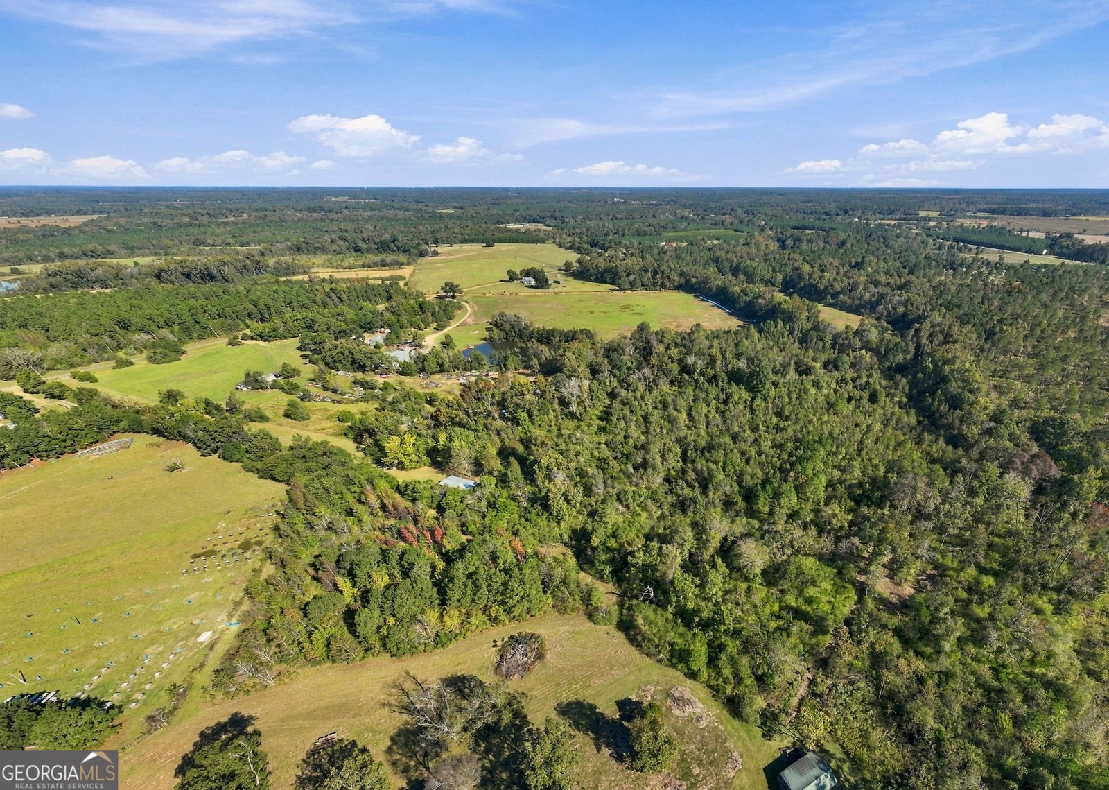 1145 Mount Gilead Road Tennille - Photo 57