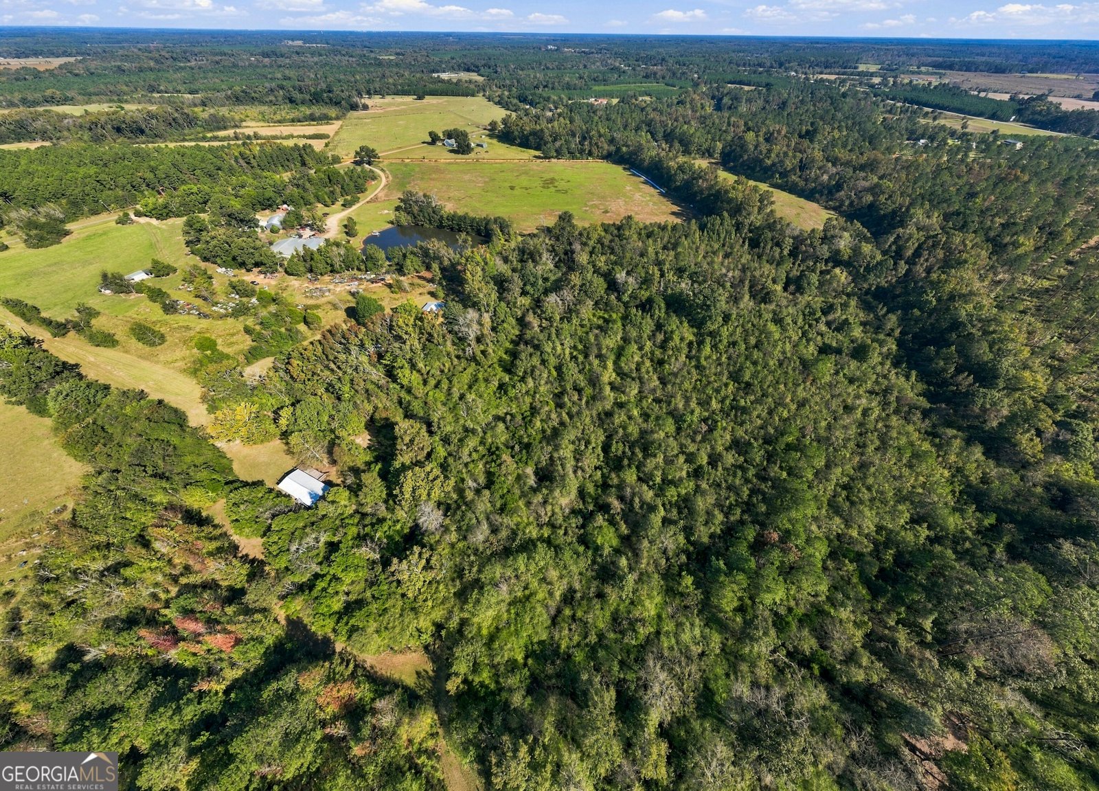 1145 Mount Gilead Road Tennille - Photo 59