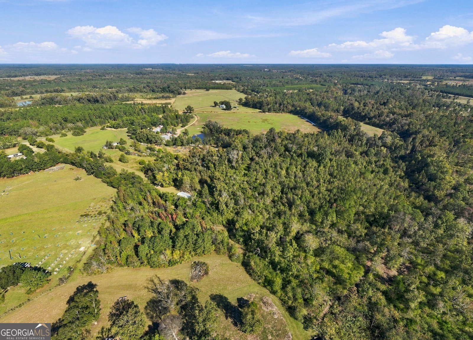 1145 Mount Gilead Road Tennille - Photo 61