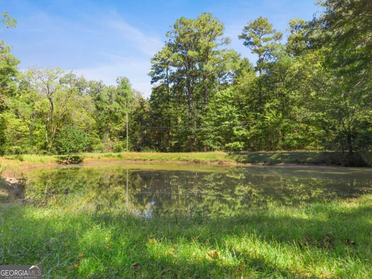 1 Terry Lane Rome - Photo 49
