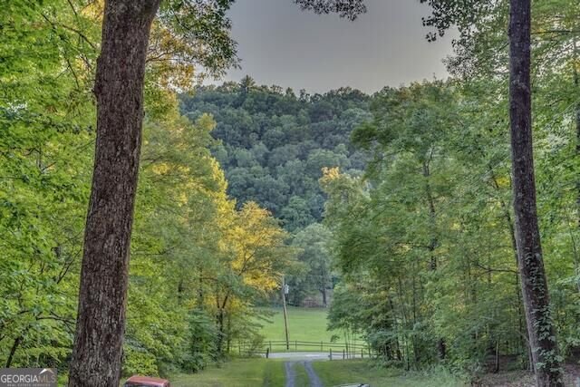 93 Valley Lane Mineral Bluff - Photo 27