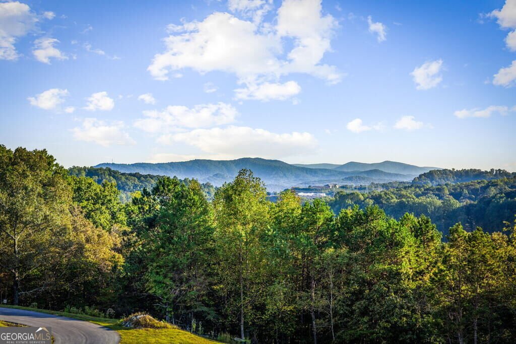 679 Cohutta Sunset Drive Blue Ridge - Photo 61