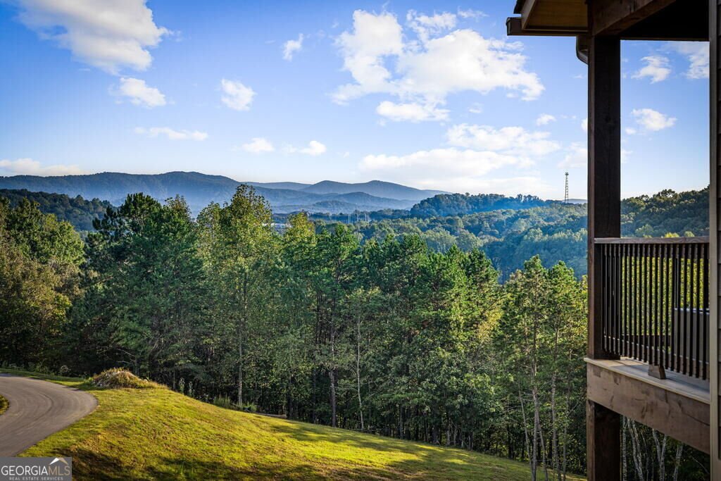 679 Cohutta Sunset Drive Blue Ridge - Photo 63