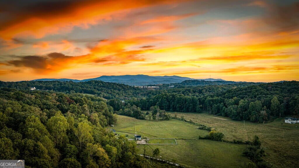 679 Cohutta Sunset Drive Blue Ridge - Photo 77
