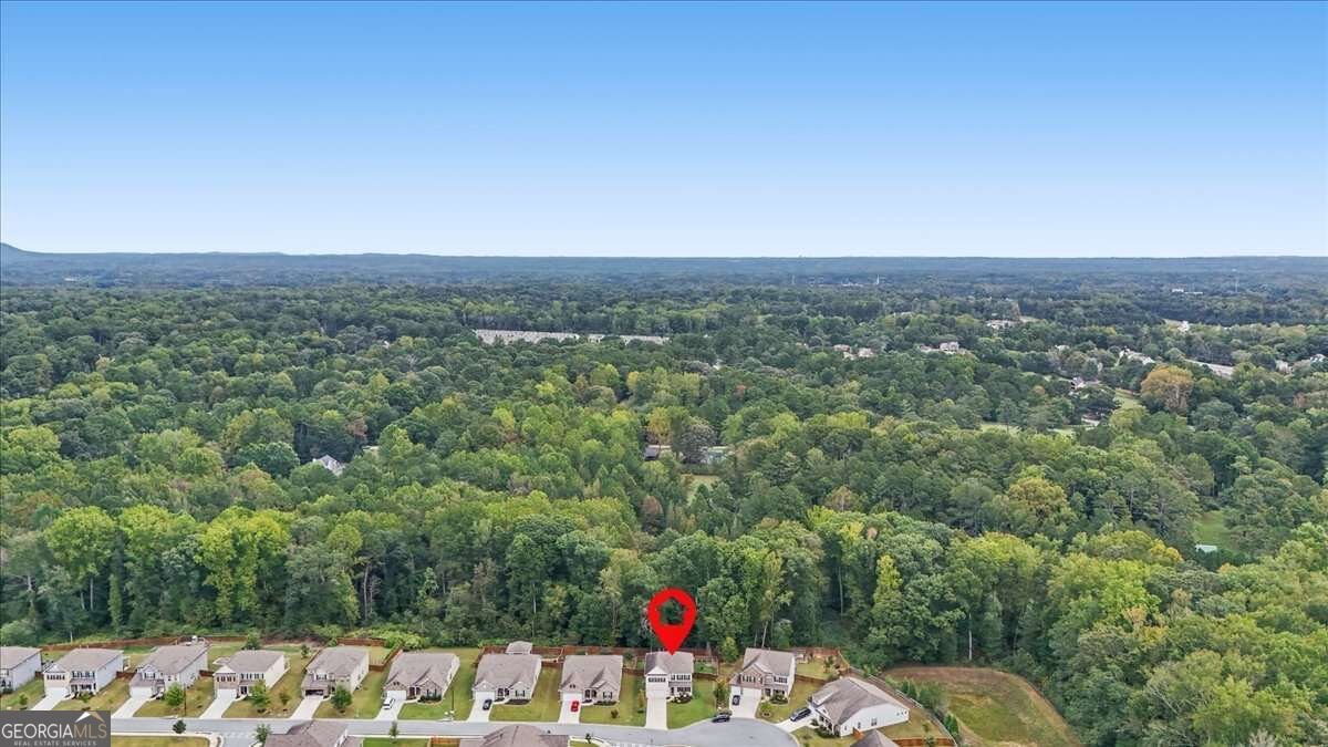 1877 Hanwoo Lane Powder Springs - Photo 74