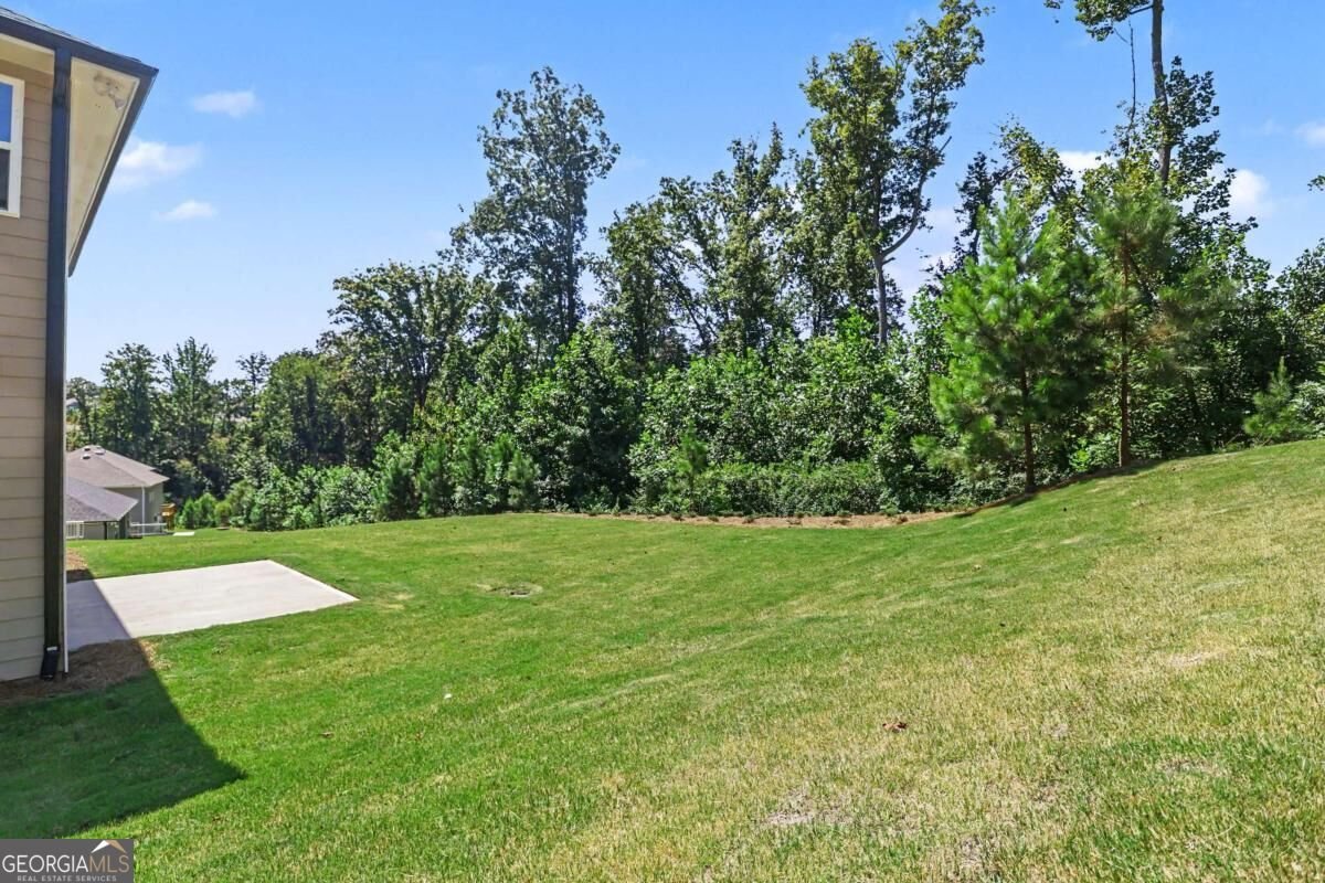233 Thunder Valley Dawsonville - Photo 12