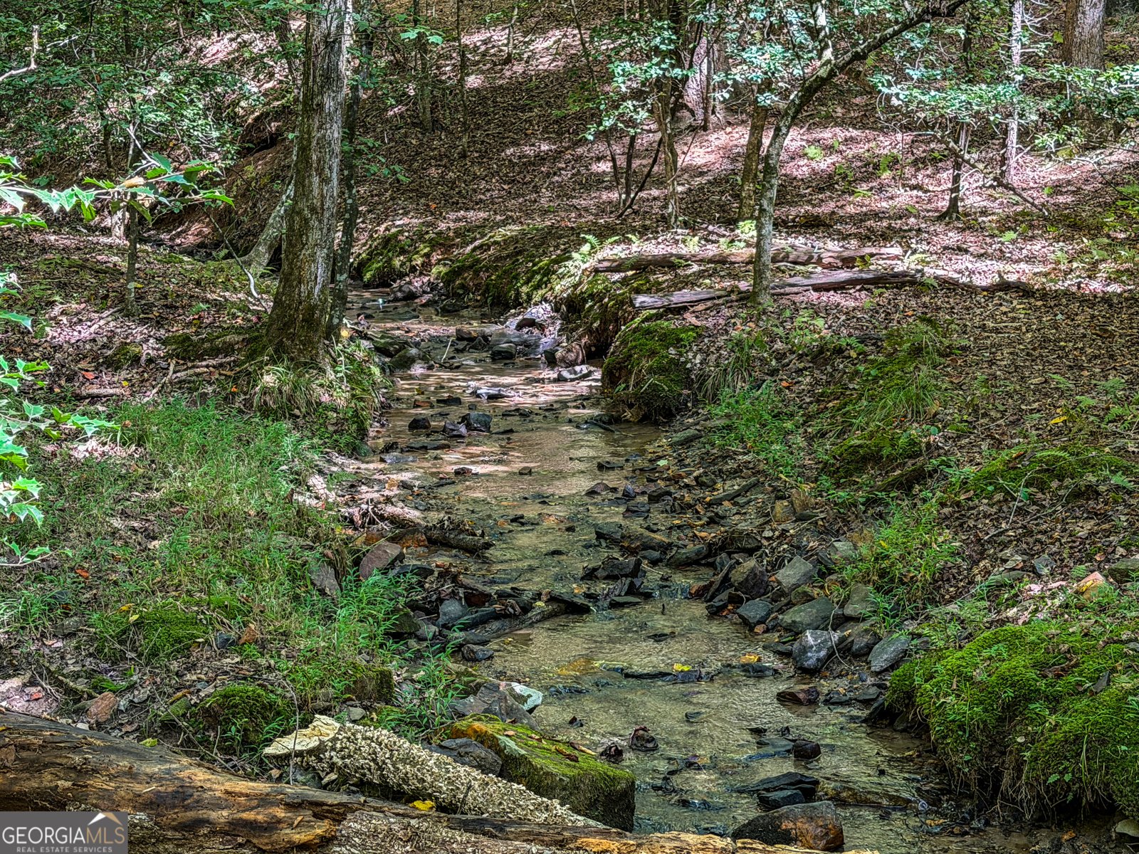 363 Weeks Creek Road Blue Ridge - Photo 126