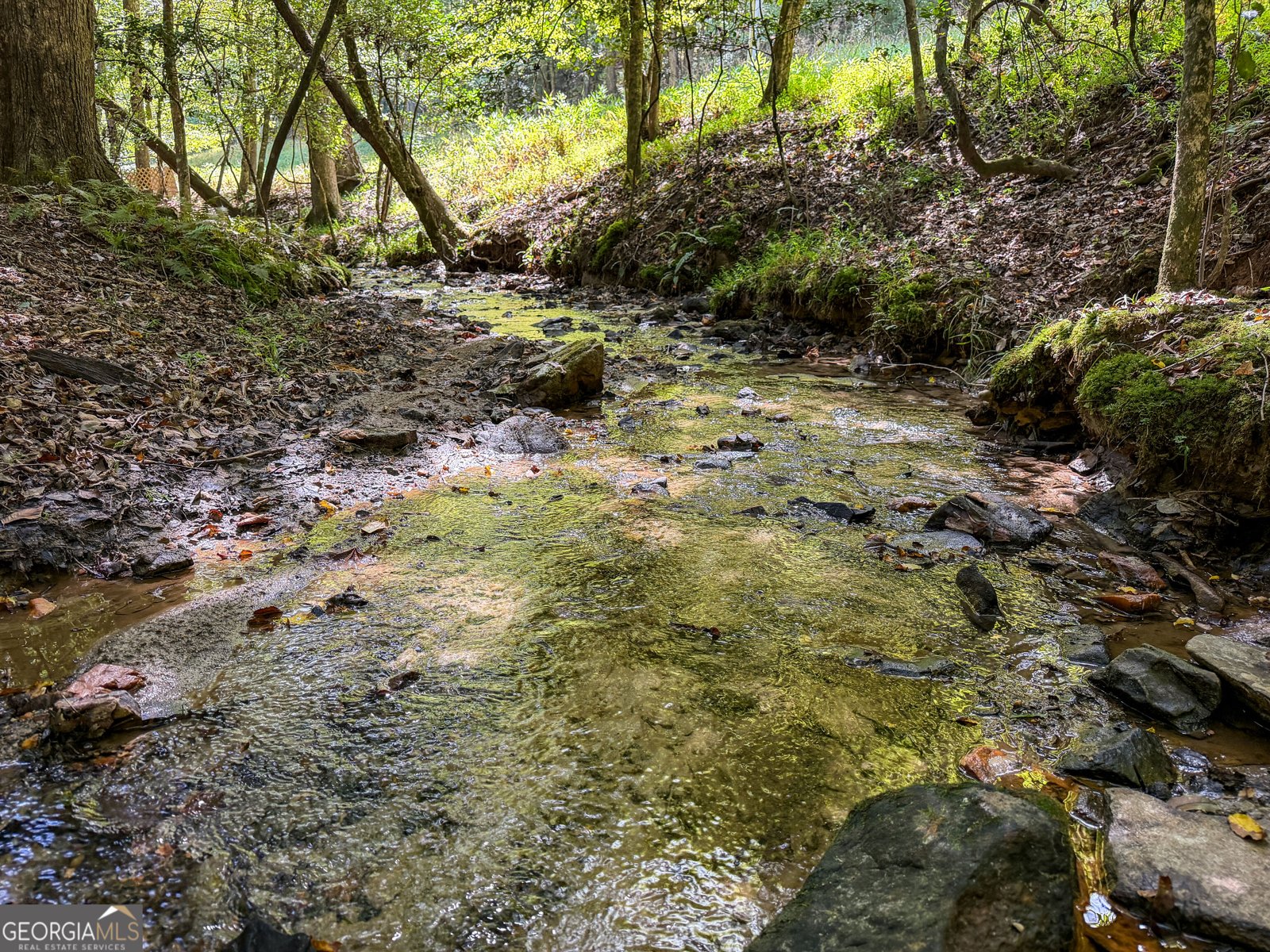 363 Weeks Creek Road Blue Ridge - Photo 127