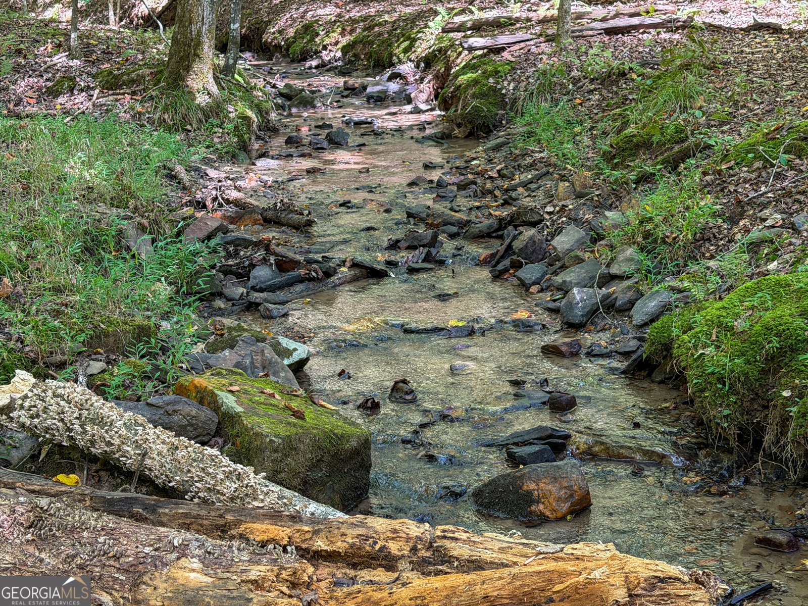 363 Weeks Creek Road Blue Ridge - Photo 128
