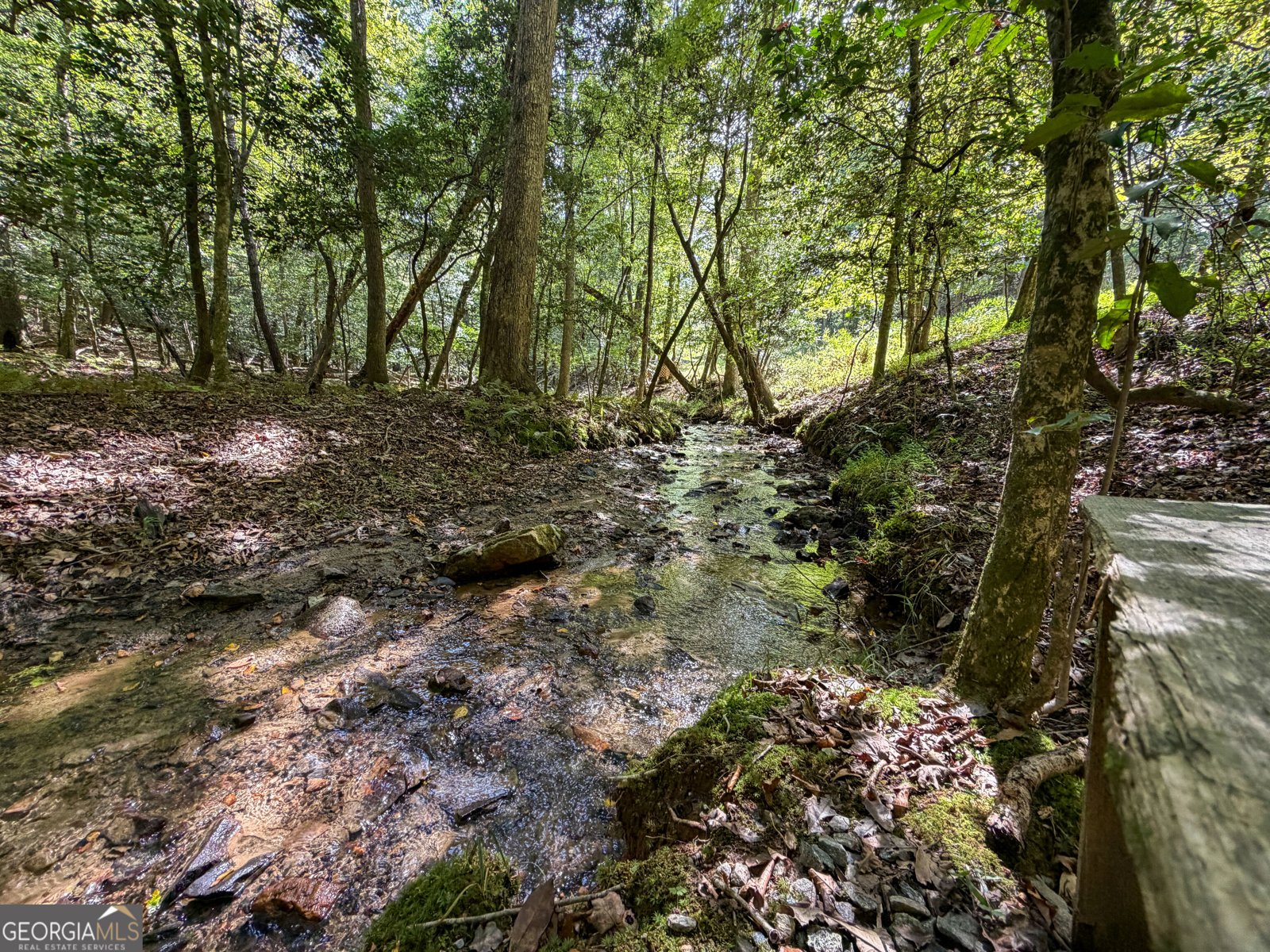 363 Weeks Creek Road Blue Ridge - Photo 129