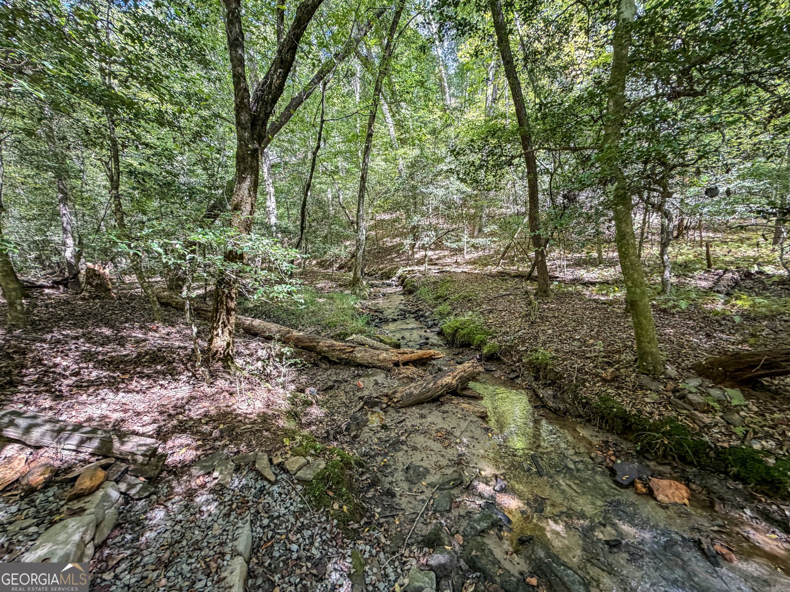 363 Weeks Creek Road Blue Ridge - Photo 130