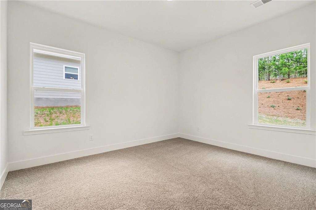 219 Thunder Valley Dawsonville - Photo 23