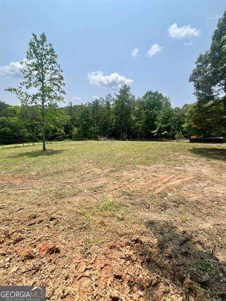 100 Buckwood Farms Path Dallas - Photo 45