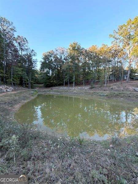 100 Buckwood Farms Path Dallas - Photo 47