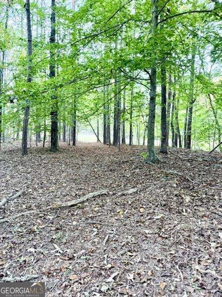 100 Buckwood Farms Path Dallas - Photo 49