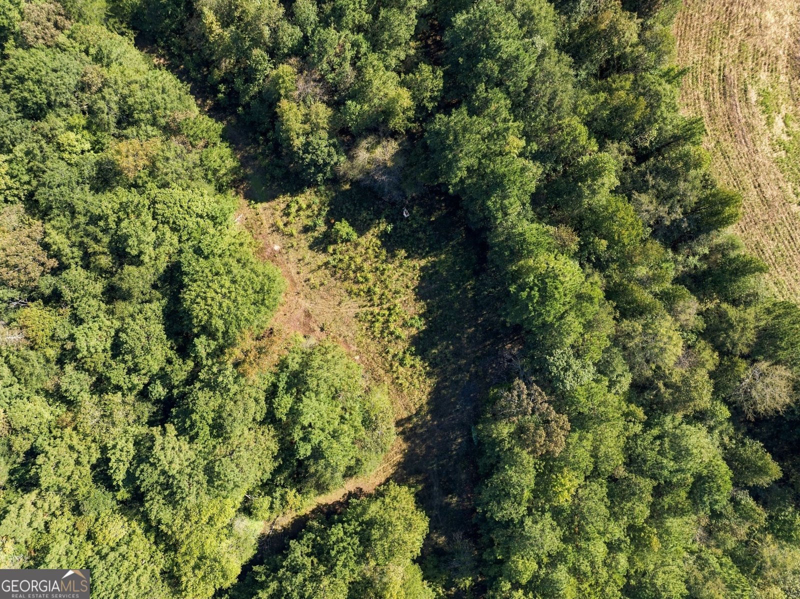 8732 Highway 337 Summerville - Photo 11